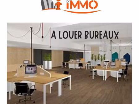 immobilier professionnel à louer montverdun