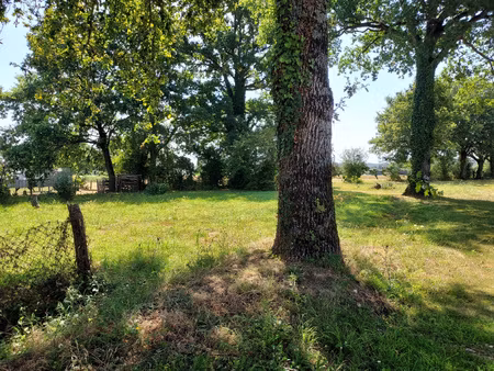 terrain constructible