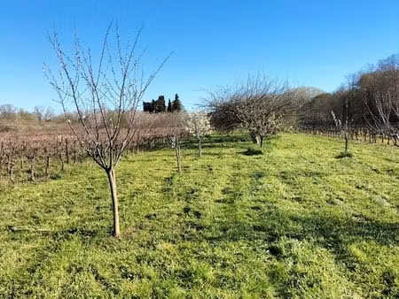 terrain de loisirs