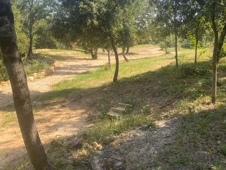terraiin de loisir agricole