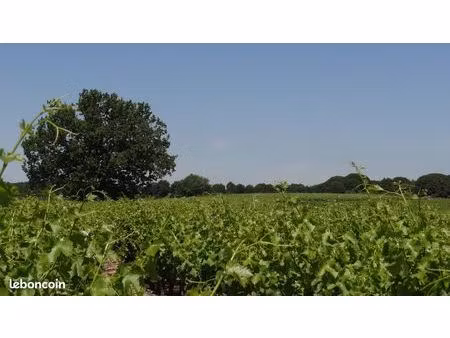 terrain 37281 m² vauvert