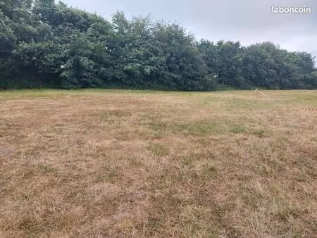 terrain 487 m² taule