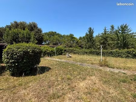 terrain constructible