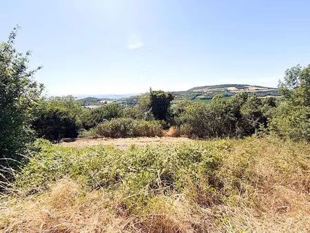 vente terrain 1285 m² à chauriat (63117)  100 000 €