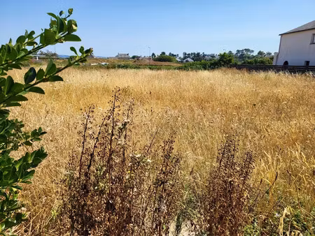 vente terrain à batir 1040 m² à roscoff (29680)  218 240 €