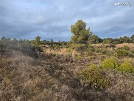 terrain agricole