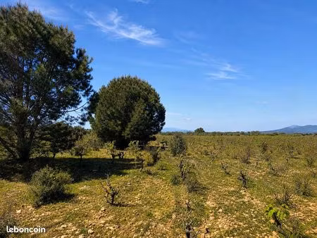 terrain agricole de 6 550 m² à sérignan (34) – un cadre naturel exceptionnel – 18 000