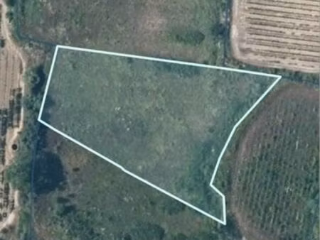 terrain - 2 terrains sur la commune de gabian - 8930 m²