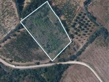 terrain - sur la commune de gabian - 4350 m2