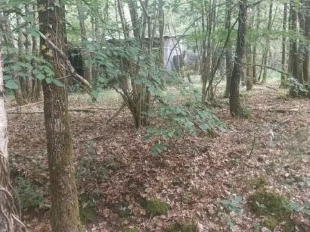 terrain 3 878 m² langeais