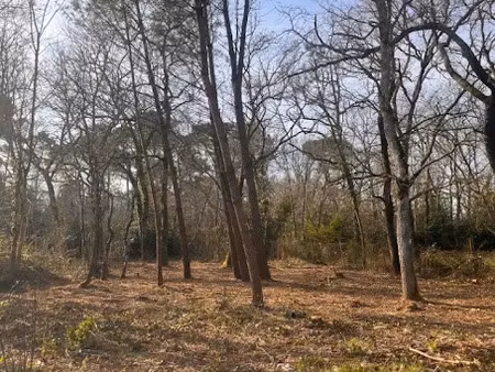 vente terrain 1000 m² à landiras (33720)  104 000 €