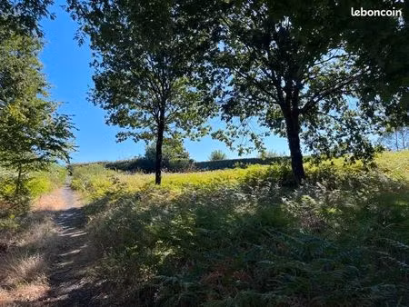terrain 2 067 m² rion des landes