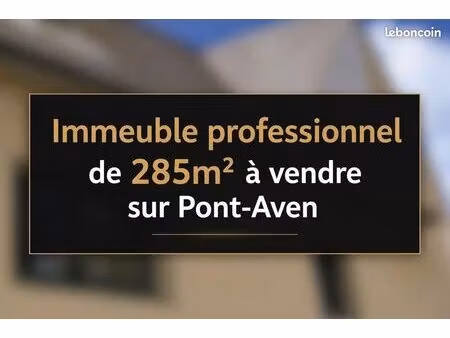 immeuble de rapport 13 pièces 285 m²