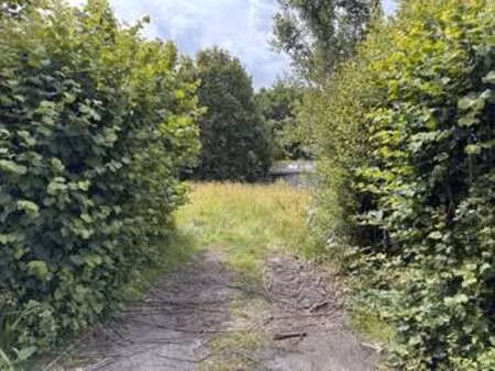 vente terrain à notre-dame-des-landes (44130) : à vendre / 1060m² notre-dame-des-landes