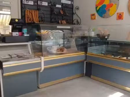 boulangerie  pâtisserie 254 m² josnes