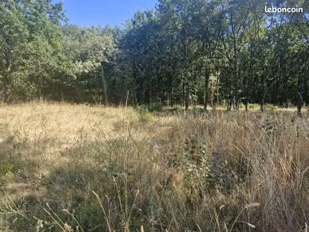 terrain 900 m² montaigut sur save