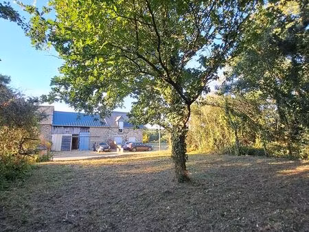 ensemble immobilier avec maison t3 louée  atelier de 120 m² et terrain