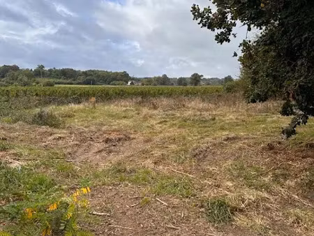 vente terrain 1103 m² à génissac (33420)  120 000 €