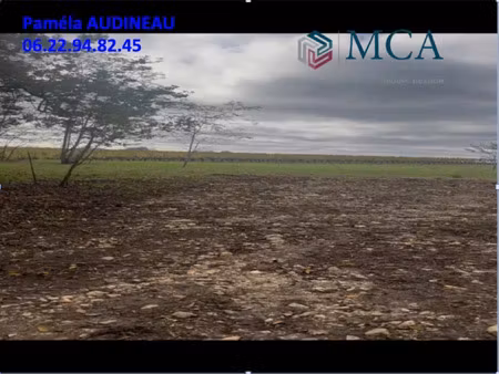 vente terrain 5000 m² à langoiran (33550)  160 000 €