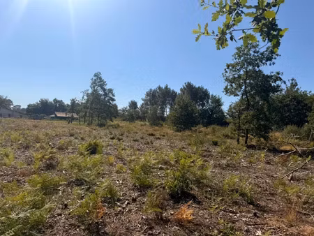 vente terrain 1050 m² à saint-michel-de-rieufret (33720)  150 000 €