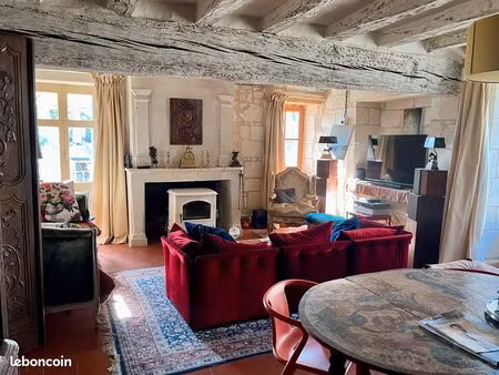 maison vue sur loire  candes saint-martin