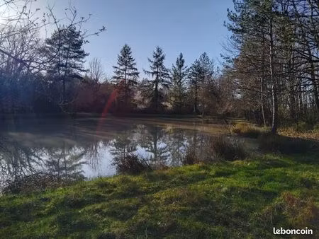 terrain de loisir avec pièce d'eau