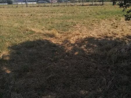 terrain constructible