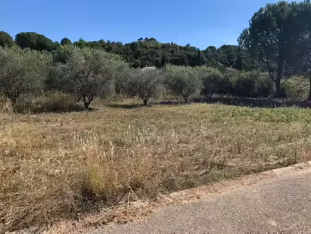 vente terrain 500 m² à galargues (34160)  179 900 €