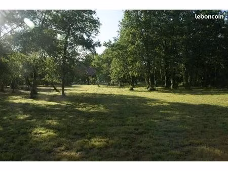 terrain 3 960 m² saint vivien de medoc