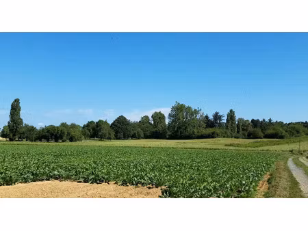vente terrain 439 m² à boullay-les-troux (91470)  173 000 €