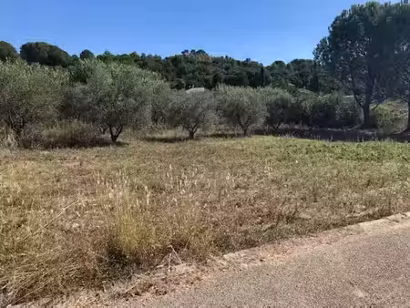 vente terrain 500 m² à galargues (34160)  181 900 €