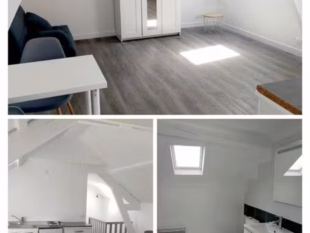 studio meublé lumineux de 30m2 refait à neuf en 2022 proche quartier dunois
