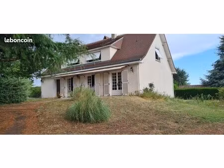 vente maison 10 pièces selles sur cher
