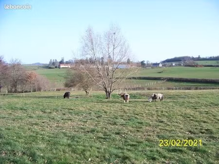 cherche terrain agricole