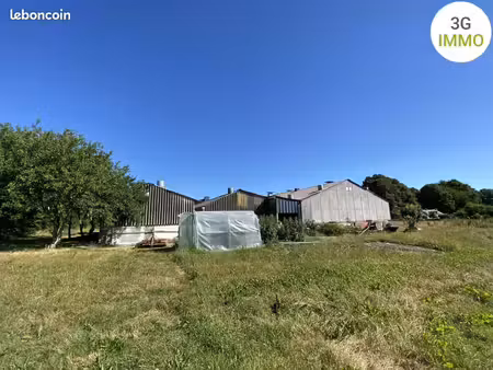 plumelin – rare ensemble de 4 bâtiments d'élevage | 700 m² sur 2500 m² | potentiel polyval