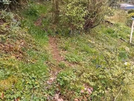terrain à vendre