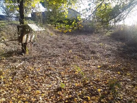terrain 4 387 m² saint projet
