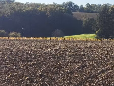 terres et terrain agricole 98500 m2