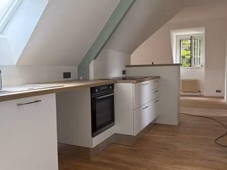 appartement t3 plein centre ville