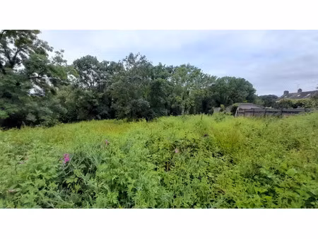 vente terrain 1182 m² à gif-sur-yvette (91190)  225 000 €