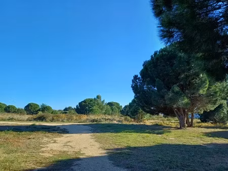 vente terrain 446 m² à latour-bas-elne (66200)  223 000 €