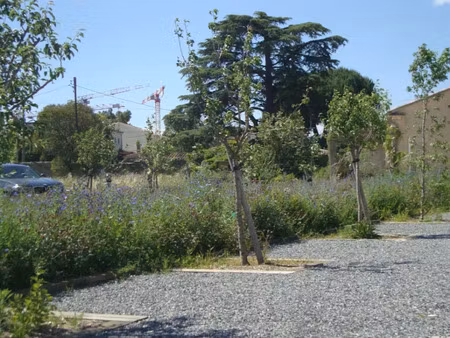 vente terrain 255 m² à hyeres (83400)  225 000 €