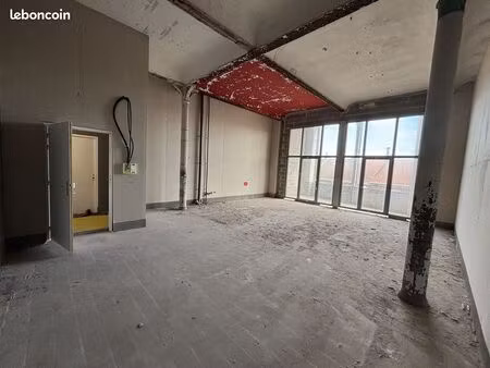 loft 1 pièce 59 m²