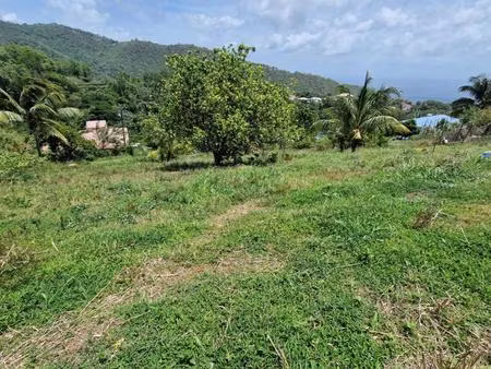terrain le morne vert
