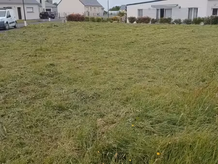 terrain constructible