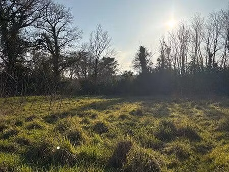 terrain 437 m² herbignac