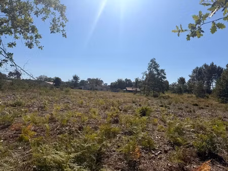 vente terrain 600 m² à léognan (33850)  195 000 €