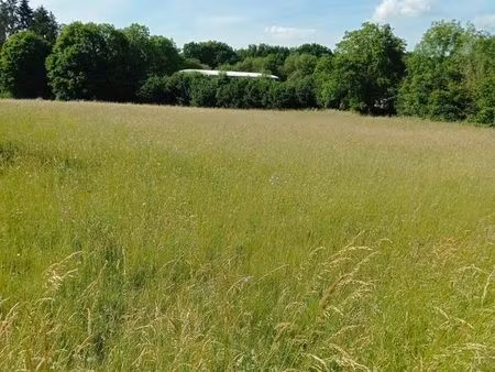 terrain constructible 2000 m2