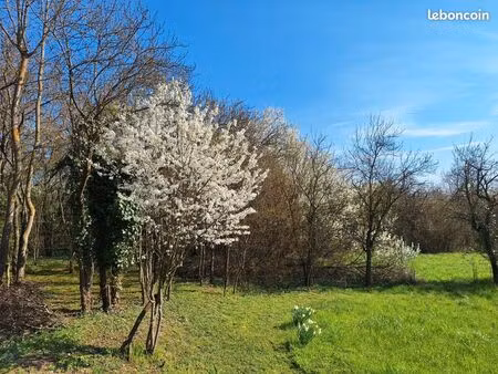recherche verger/terrain en friche