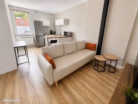 t2 meublé 37 m² – rénové  traversant et lumineux